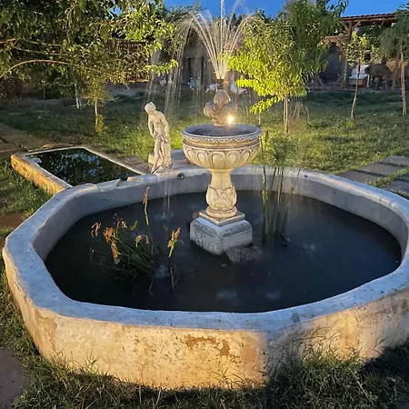 Mater Familias Oasis * Syracuse
