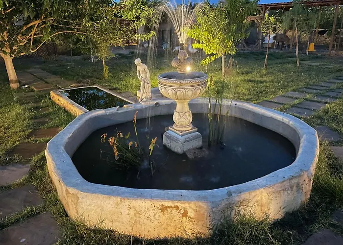 Mater Familias Oasis * Syracuse